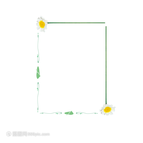 菊韵相框 秋日印记的艺术珍藏